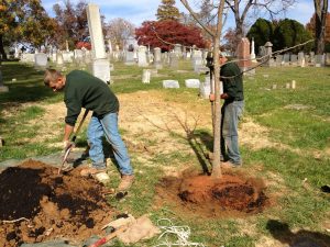 Arbor Day