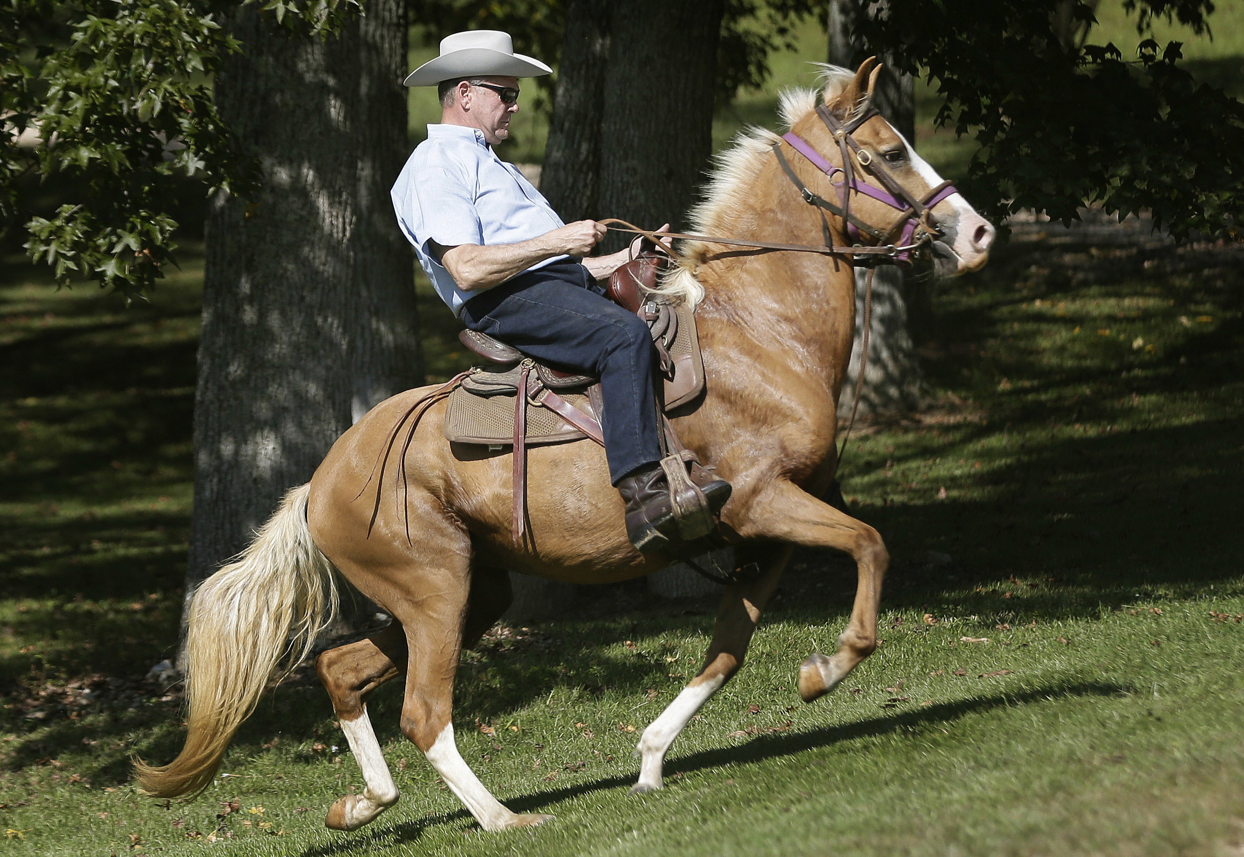 One horse town. Gallant Fox Horse.