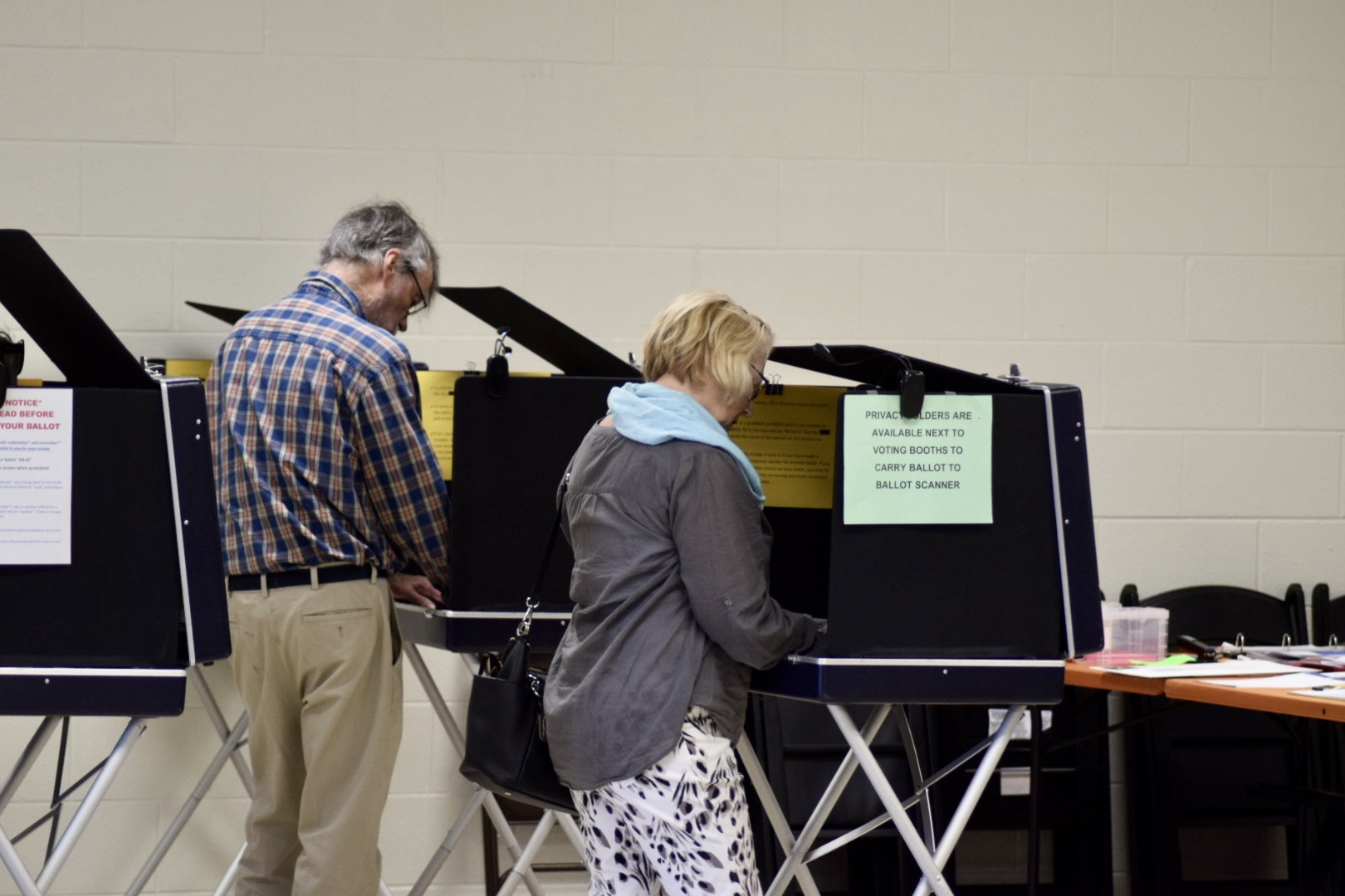 Two people vote at voting booths.
