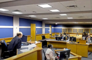 Frame grab from video, Sidney Powell, former attorney for former President Donald Trump, attends a hearing