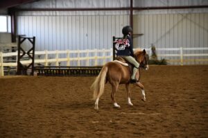 Photo of a young rider in the Coliseum at the Virginia Horse Center. 