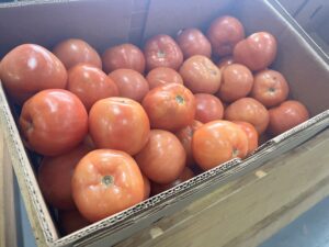 Box with dozens of tomatoes