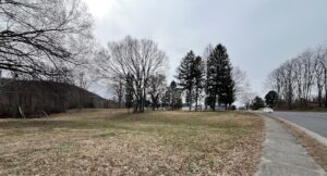 Street view of a vacant 2-acre lot on Magnolia Avenue.